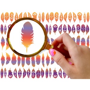 May include: A magnifying glass is held over a row of colourful feather stickers. The feather stickers are in a gradient of orange, yellow, purple, and red. The magnifying glass is showing a close-up of a single feather sticker.