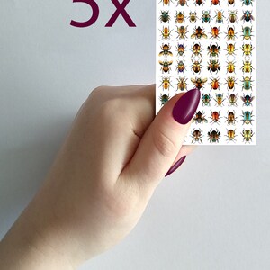 May include: A sheet of 5x nail art stickers featuring colorful beetle designs. The stickers are on a white background and are held in a hand with a dark purple nail polish.