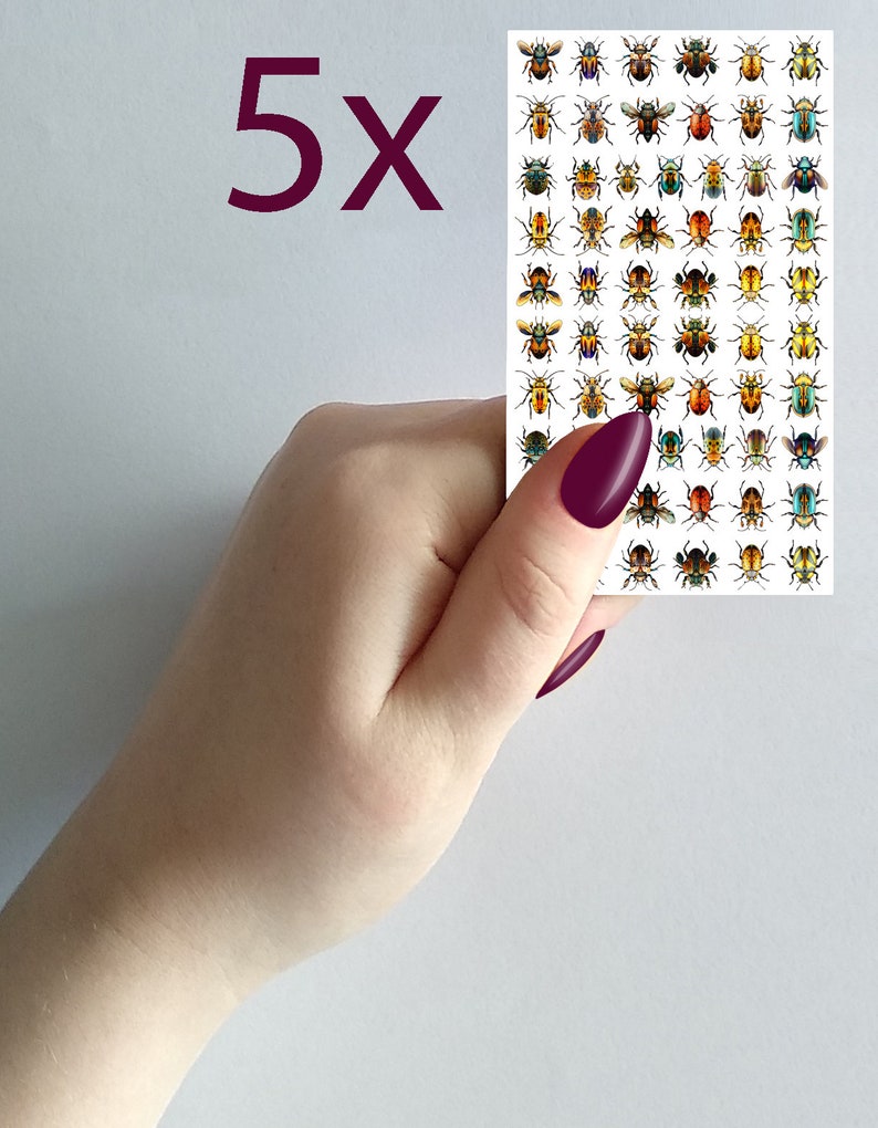 May include: A sheet of 5x nail art stickers featuring colorful beetle designs. The stickers are on a white background and are held in a hand with a dark purple nail polish.
