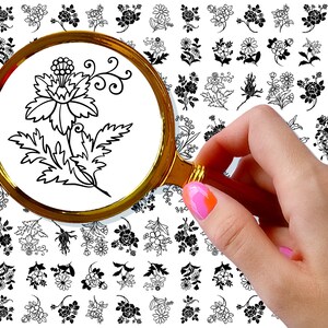 Nail Decals (5 sheets) ~ Simple Elegant Black Lines Flowers Nail Decor Transfer Vintage Styled Stickers ~ FLONZ 101-418