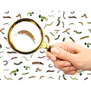 Nail Decals (5 sheets) Vintage Unique Cute Fuzzy Caterpillars Insects FLONZ 101-024