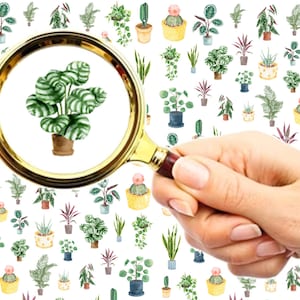 Può includere: Una lente d'ingrandimento è tenuta sopra uno sfondo bianco con un motivo di varie piante in vaso. La lente d'ingrandimento è focalizzata su una singola pianta con foglie verdi e bianche a strisce.