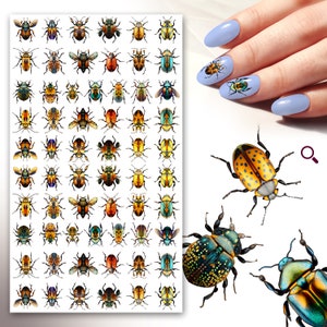 May include: A sheet of colorful beetle nail decals with a variety of designs. The decals feature beetles with different colors, patterns, and textures. The sheet is designed for use on fingernails.