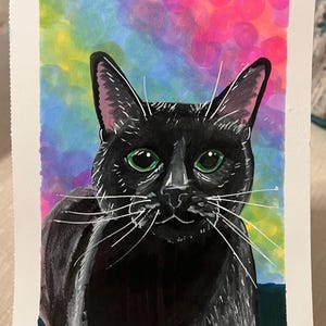Black Cat
