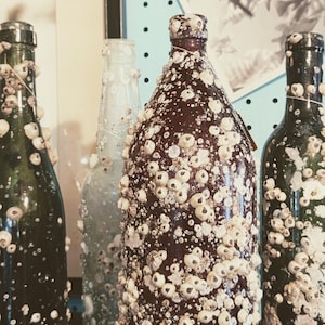May include: Four antique glass bottles, each encrusted with barnacles. The bottles vary in color, including green and brown. The barnacles are white and beige, creating a textured surface. The bottles are displayed on a dark surface.