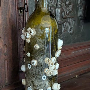 May include: An antique green glass bottle encrusted with barnacles. The bottle has a dark, weathered appearance, with numerous white and gray barnacles clustered across its surface. The bottle is displayed on a wooden surface.