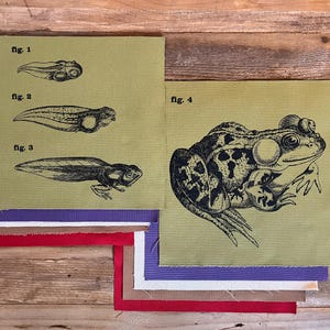 Może przedstawiać: Stos kwadratów materiału w kolorze czerwonym, białym, fioletowym i brązowym. Na wierzchu znajdują się dwa kwadraty z czarno-białymi ilustracjami cyklu życia żaby. Jeden kwadrat przedstawia kijanki z oznaczeniami fig. 1, 2 i 3. Drugi przedstawia żabę z oznaczeniem fig. 4.