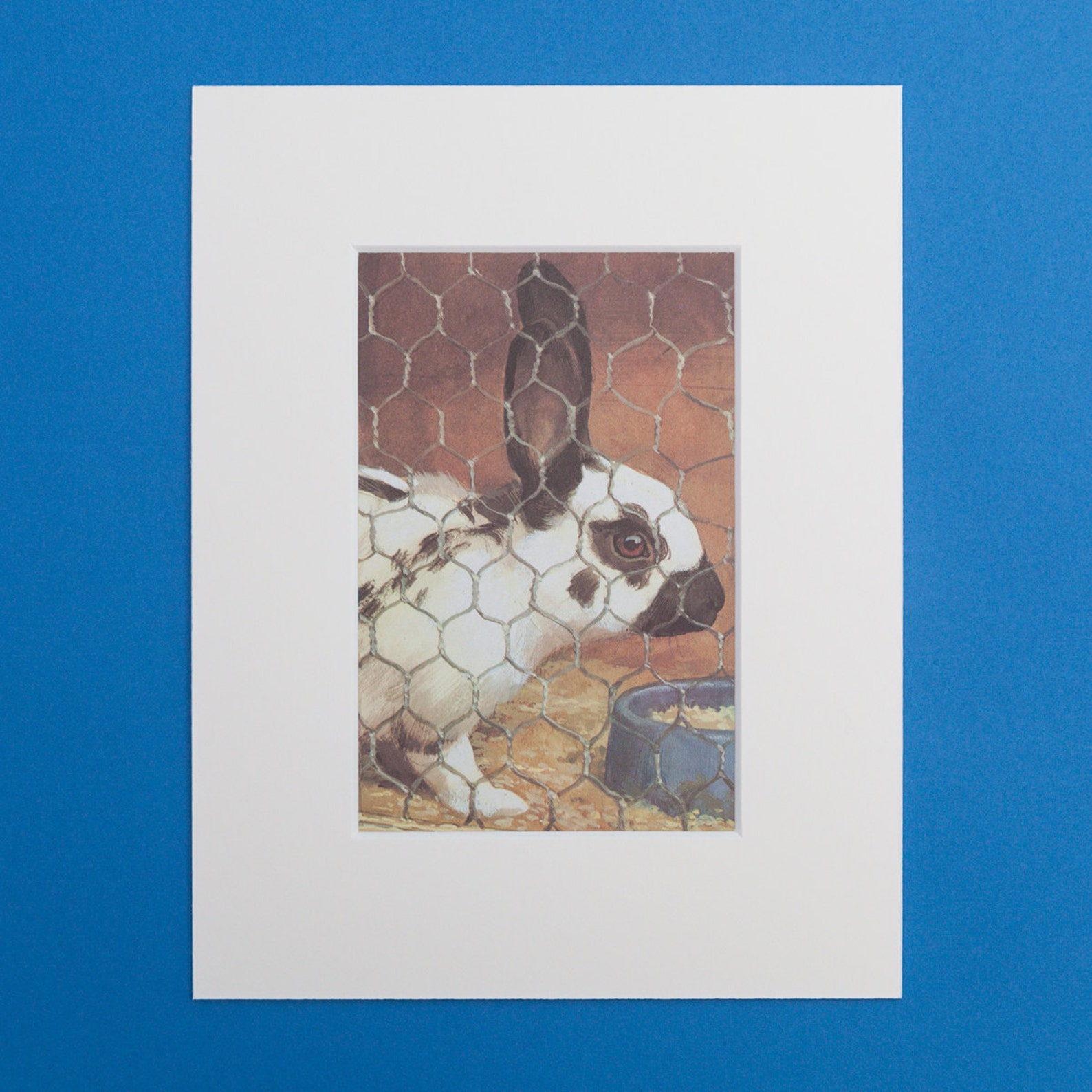 Rabbit Print From a Vintage Ladybird Book, the Ladybird Third Picture ...