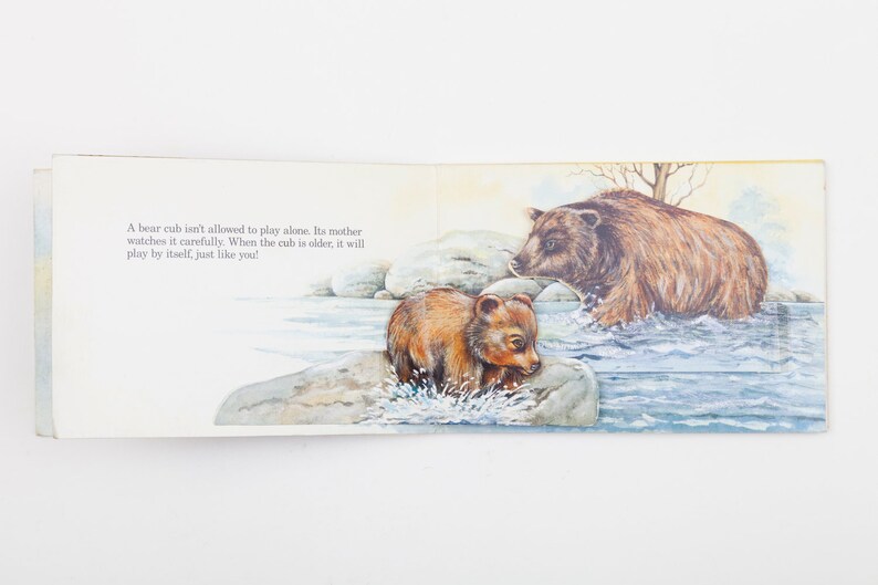 Baby Animals Popup Book Vintage Children's Popup Book Etsy