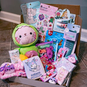 Gimmie that Miniso Kawaii Tik Tok Viral Gift Box