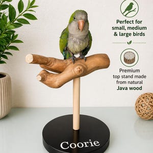 May include: A green and gray parrot perched on a natural Java wood stand. The stand has a black base with the name "Coorie" in white. The text on the image says "Perfect for small, medium & large birds" and "Premium top stand made from natural Java wood."