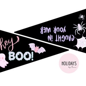 Könnte beinhalten: Zwei schwarze dreieckige Banner mit Halloween-Text und -Grafiken. Ein Banner sagt "hey BOO!" mit einem Geist und das andere sagt "CAUGHT IN YOUR WEB" mit Spinnen und einem Netz. Ein rosa Kreis mit "HOLIDAYS by Came" befindet sich unten.