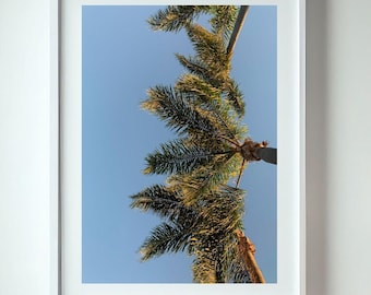 Stampa di palme da spiaggia, fotografia di palme costiere, stampa artistica da parete per la casa tropicale, poster da parete minimalista per soggiorno, spiaggia estiva