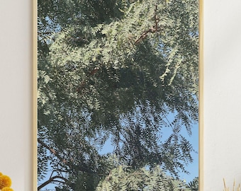 Fotografia minimalista di alberi e natura, decorazione da parete verde e botanica per soggiorno, casa di campagna e fattoria, DOWNLOAD DIGITALE