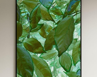 Arte murale astratta con foglie, stampa istantanea, fotografia botanica, poster stampabile, pianta verde scuro, natura, decorazione da parete per la casa, DOWNLOAD DIGITALE