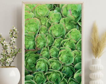 Stampe artistiche da parete con piante, decorazioni da parete con piante succulente, fotografie di piante della natura, stampe artistiche da parete, regalo per la casa, vivaci stampe artistiche da parete con piante verdi.