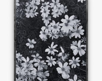 Arte murale floreale, decorazione da parete botanica per la casa, stampa artistica di fiori in bianco e nero, fotografia di piante e natura, regalo per la casa, soggiorno, arredamento per la casa