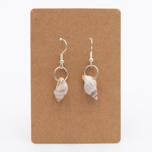 May include: A pair of dangle earrings featuring small, natural, light-colored spiral seashells suspended from silver-toned metal jump rings and fishhook ear wires, displayed on a rectangular brown cardboard jewelry display card.