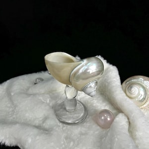 Seashell Wine Glasses - 2025 Gifts - Anniversary Gifts - Handmade Seashell Martini Glasses - Beach Wedding Decorations -  Wedding Gift