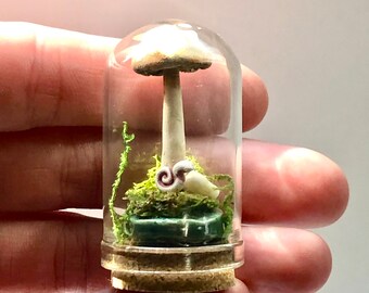 Mushroom Mini Garden Apothecary Specimen, Miniature Handmade Ceramic Mushroom, Apothecary Decor, Fairy Garden Tiny Accessories, Terrarium
