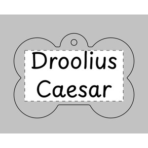 Droolius Caesar, Personalized Pet Tags for Dogs, Custom Pet ID Tags, Unique Dog Tag Gifts