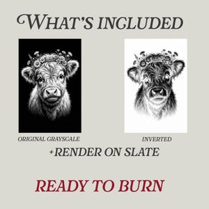 May include: The image showcases two grayscale illustrations of a cow wearing a floral crown. One is the original grayscale, and the other is inverted. Text includes "What's Included", "Render on Slate", and "Ready to Burn".