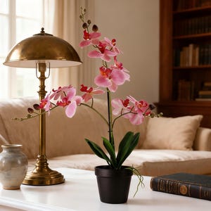 May include: A decorative arrangement featuring a pink orchid plant in a black pot, a brass lamp, and a small vase on a white table. A vintage book rests nearby. The background includes a beige sofa and a wooden bookcase.