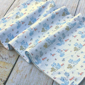 Blue Raccoon - Fox Minky Couverture bébé | Cadeau de douche de bébé | Nouveau cadeau de bébé | Couverture de bébé neutre en matière de genre | Soft Baby Lovey | Souvenir de pépinière