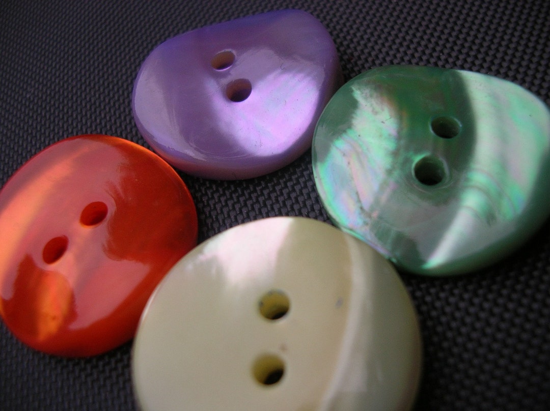 Multi Color Faux Shell Button Set - Etsy