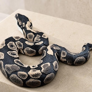 Shadow Patch – Ledad skulptur av kunglig pyton | Realistisk reptildekor | Tillverkad i Tyskland bild 5