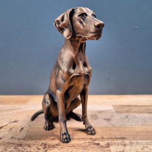 Può includere: Una statuetta di cane color bronzo in posizione seduta, caratterizzata da tratti del viso dettagliati, orecchie pendenti e una finitura metallica liscia. La scultura cattura la postura vigile di un canino con la testa rivolta verso destra.