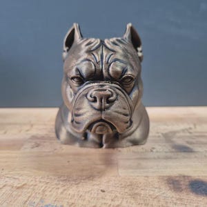 Könnte beinhalten: Bronze-farbene Bulldoggen-Skulptur. Der Kopf des Hundes ist der Mittelpunkt, mit detaillierten Merkmalen wie Falten, einer markanten Nase und aufmerksamen Ohren. Die Skulptur steht vor einem neutralen Hintergrund, der ihre Form hervorhebt.