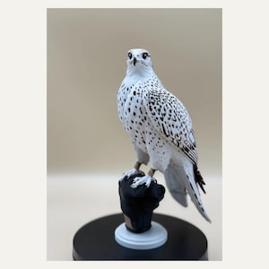 May include: A white falcon figurine with dark brown speckled markings on its wings and chest. The bird is perched on a black falconry glove, which is mounted on a circular black base. The falcon has sharp, detailed talons and a focused gaze.
