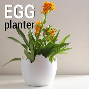 May include: A white egg-shaped planter with a cracked design, filled with green leaves and vibrant orange flowers. The text "EGG planter" is displayed in large, bold letters.