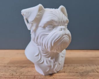 Brüsseler Griffon Büste / Realistic Brussels Griffon Bust – Handbemalt & Detailliert