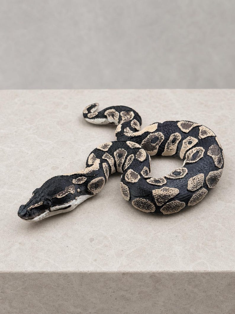 Shadow Patch – Ledad skulptur av kunglig pyton | Realistisk reptildekor | Tillverkad i Tyskland bild 3