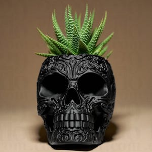 May include: A black skull-shaped plant pot with detailed floral patterns, containing a green succulent. The pot has a matte finish and ornate carvings, giving a gothic and decorative look. The succulent provides a natural contrast to the dark pot.
