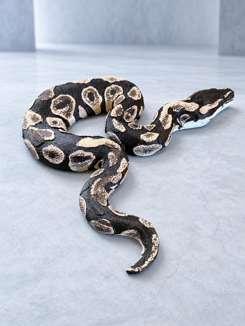 Shadow Patch – Ledad skulptur av kunglig pyton | Realistisk reptildekor | Tillverkad i Tyskland bild 2