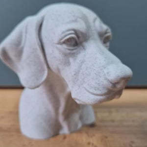 Könnte beinhalten: Eine detaillierte, cremefarbene Skulptur eines Hundekopfes, die Schnauze, Augen und Ohren zeigt. Der Hundekopf ist der Mittelpunkt, mit einer strukturierten Oberfläche. Die Skulptur steht vor einem neutralen Hintergrund.