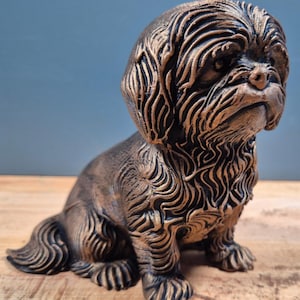 Può includere: Una piccola statuetta di cane seduto con una finitura color bronzo e accenti neri. La scultura presenta dettagliate texture di pelo ondulato su tutto il corpo, la testa e le orecchie, con una struttura facciale distinta e uno sguardo attento.