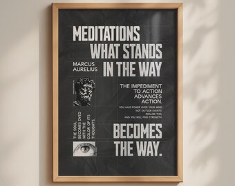 May include: A framed poster with a dark gray, textured background featuring white text that reads Meditations, What Stands In The Way Becomes The Way, and quotes by Marcus Aurelius. It includes a small portrait of a man and an eye illustration.