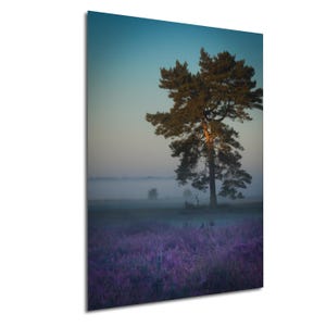 Könnte beinhalten: Landschaftsdruck mit einem hohen Baum vor einem Feld violetter Blumen und einem nebligen Horizont. Der Himmel wechselt von Blau zu Gelb und erzeugt eine ruhige Atmosphäre. Das Bild strahlt Ruhe aus.