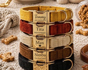 Collar de terciopelo personalizado para perro, placa con nombre grabada, hebilla dorada, collar de identificación para mascotas.