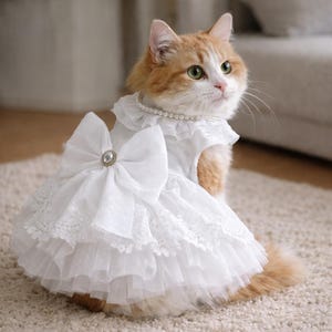 Cat Formal Dress - Etsy