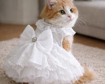 Vestido de novia de encaje blanco para gatos, elegante atuendo para gatita, ropa formal para fiestas, disfraz para sesión de fotos