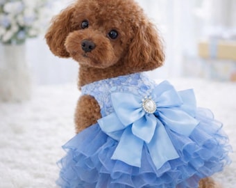 Vestido azul de encaje para perrita, conjunto para cachorrita pequeña, atuendo de boda, estilo princesa, ropa para mascotas