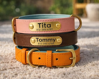Collar personalizado para perro: placa grabada con nombre, aspecto de cuero, collar a medida para mascotas, todos los tamaños.