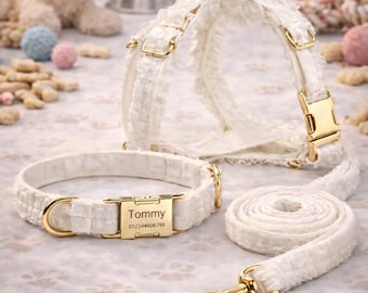 Collar, arnés y correa personalizados para perro: blanco con herrajes dorados