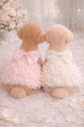 Luxury Dog Wedding Dress with Bow, Elegant Puppy Bridal Outfit, Small Dog Clothes, Cute Pet Dress for Ceremony Party Gift Idea Present Now product logo