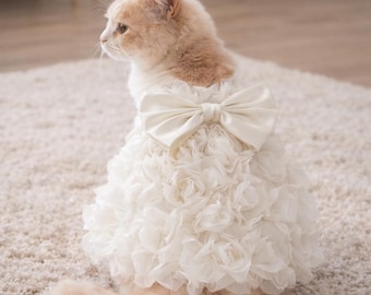 Vestido de novia para gatos: elegante conjunto blanco con volantes para el día especial de tu mascota.